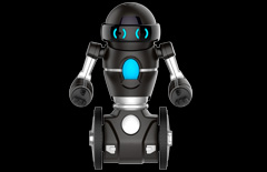MiP 1