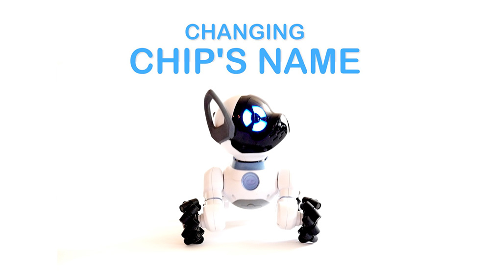 How to change the name of your CHiP