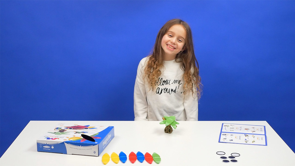 Beach Set - How to Build an Octopus, Beach Ball, and More!