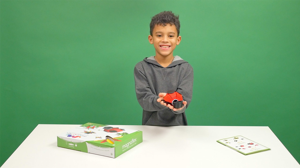 Critters Set - How to Build a LadyBug, Bumblebee, and More!