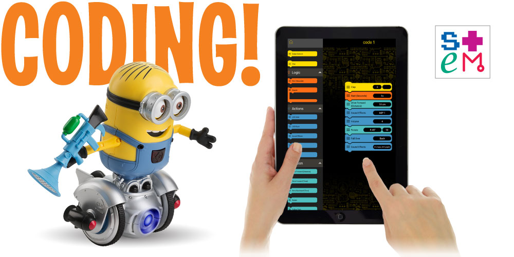 LEARN TO PROGRAM YOUR MINION!