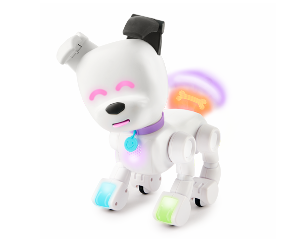 Dog-E: The One-in-a-Million Robot Dog
